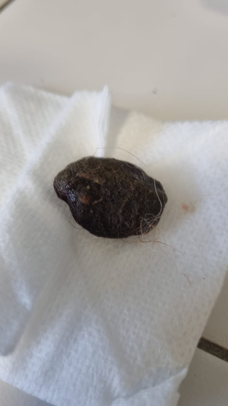 [Image: IMG-20231020-WA0002.jpg]