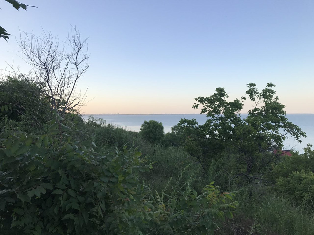 photo5210719886639212864