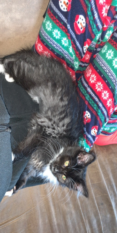 C9E42B51-BE01-4611-9345-1333441DB5D7