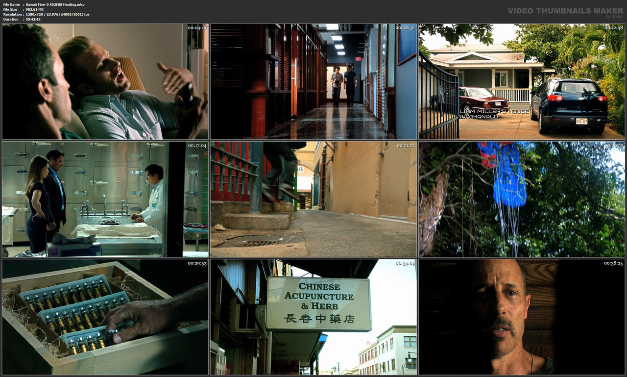Hawaii Five-0 S02E08 Healing.mkv