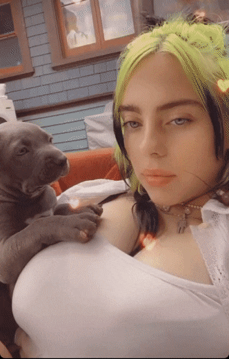 ooldgy8vdgk61.gif