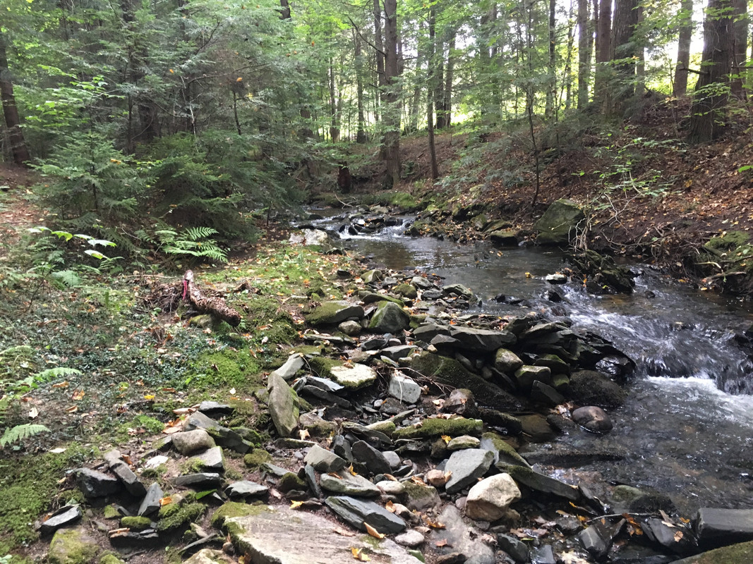 IMG 3323 — Postimages