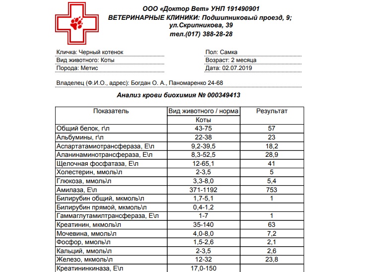 анализ крови биохимия 020719