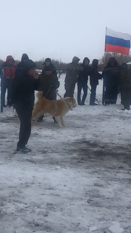 2C45505E-D73C-4FC3-B94C-9BB824BA6B9D