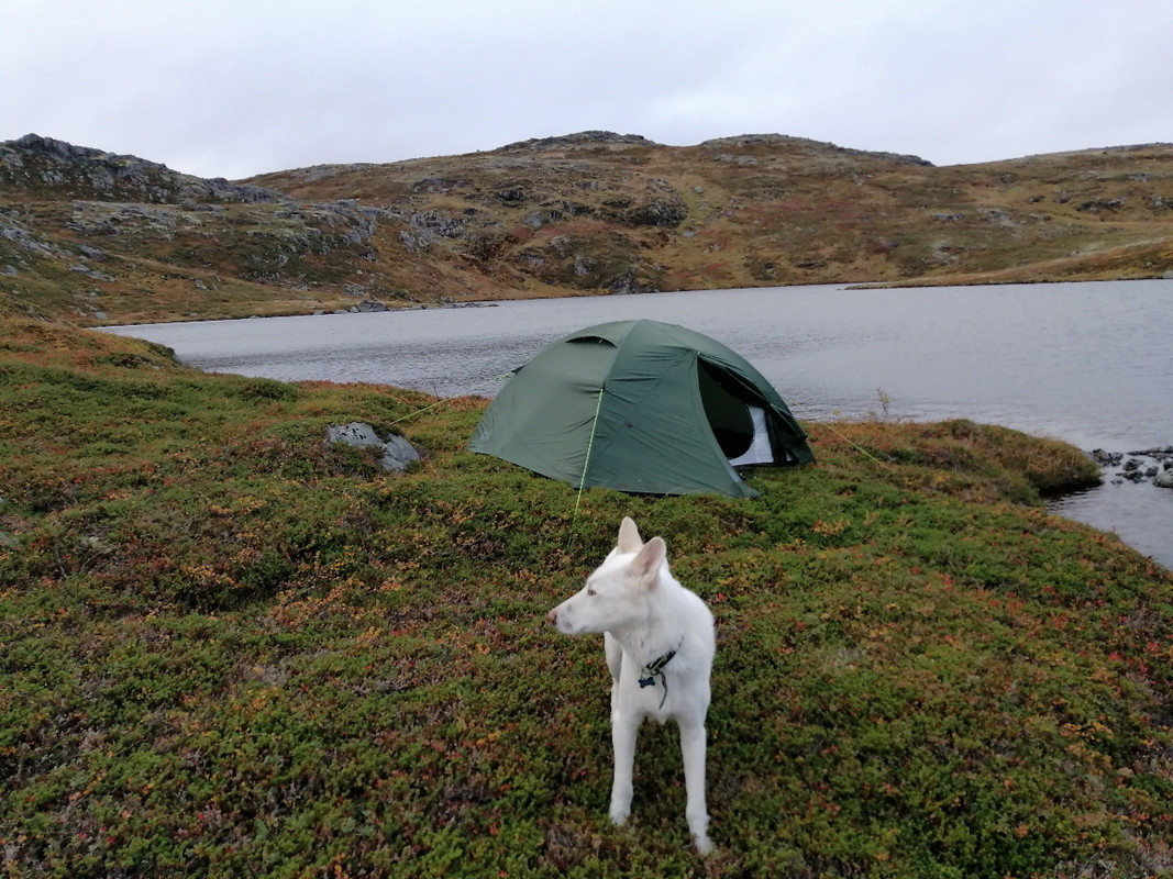 5D1F2C53-7E4B-4C84-908D-30AE2CB47841