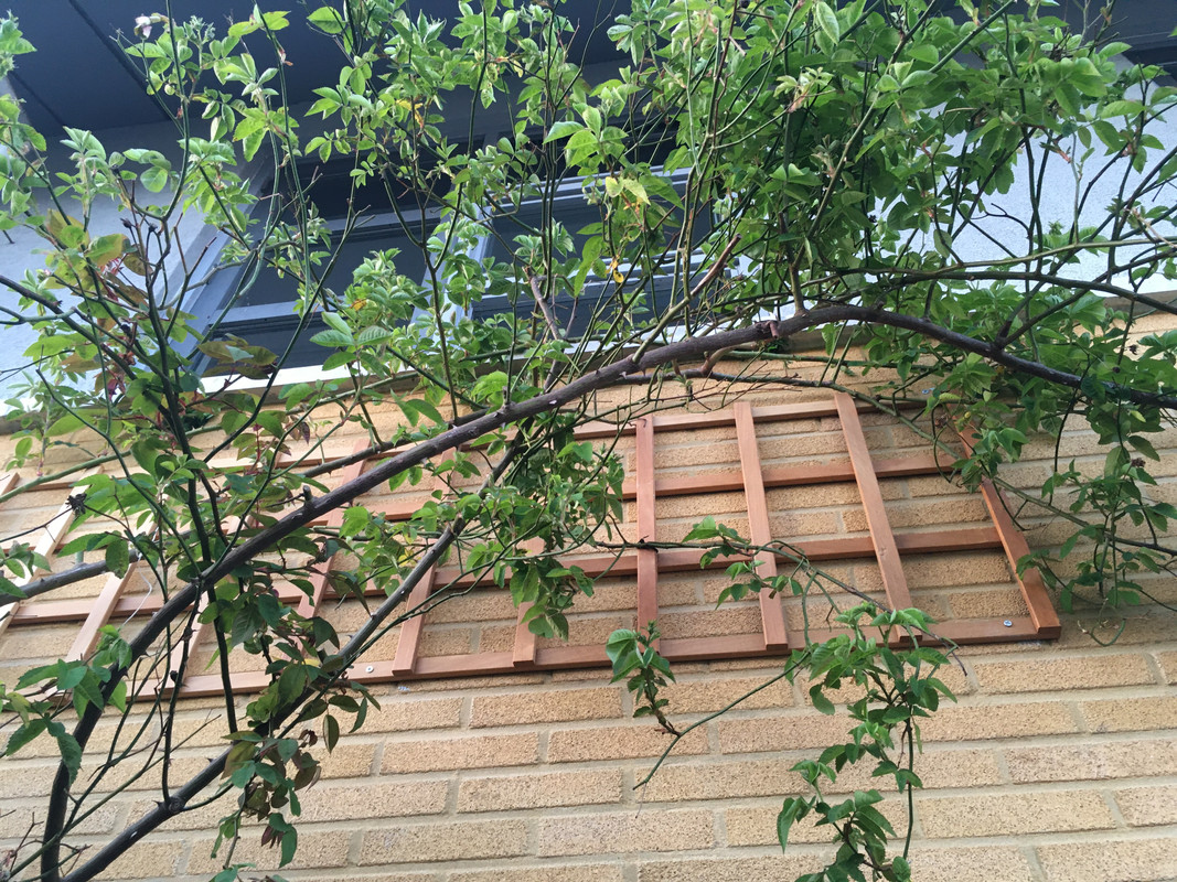 ABCF2801-6D51-4A06-82C3-F1C20B1FD1A0