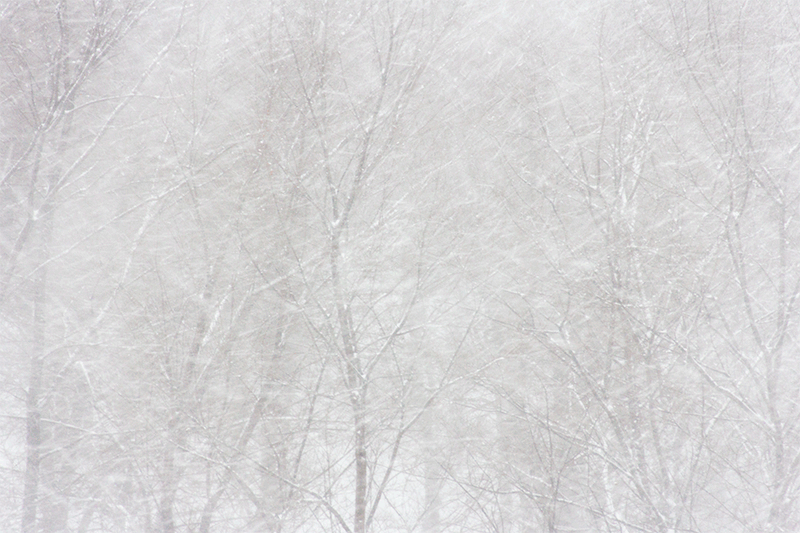 IMG-8974