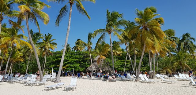 DIA 4 - EXCURSION A SAMANA, CASCADA DEL LIMON E ISLA BACARDI - Hotel Grand Sirenis Punta Cana + Samana + Cortecito (100)