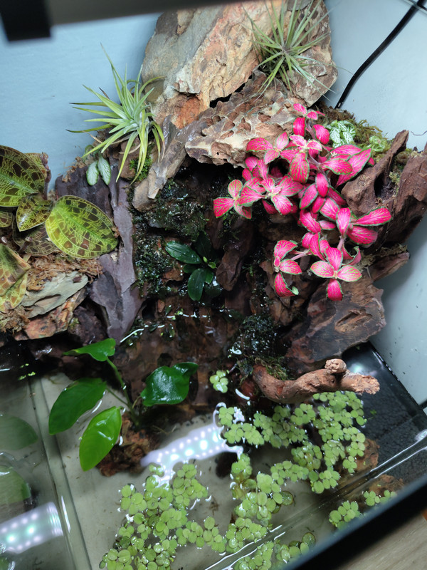 IMG_20240801_192027388