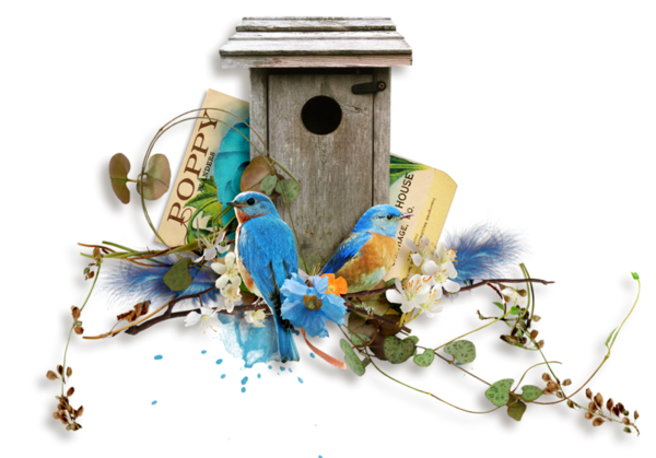 AF0zjqizbAhJoqNO1UDDHHxyqIU