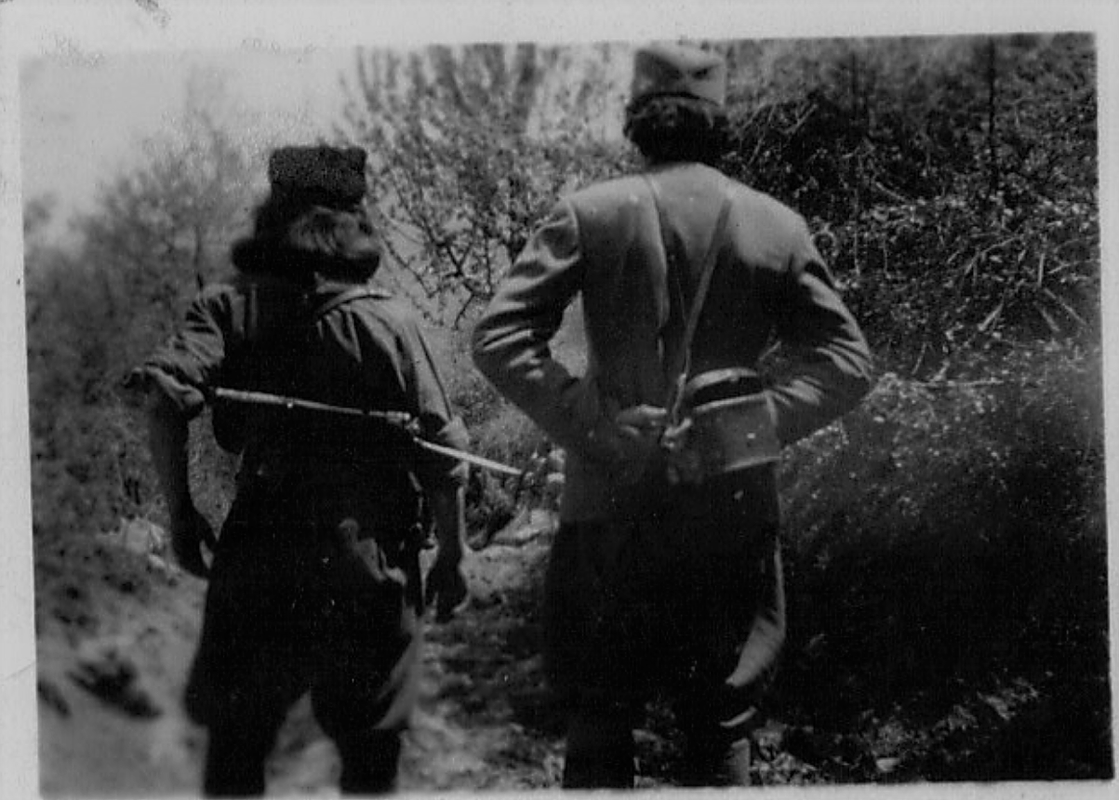 [Слика: Screenshot-1.png]