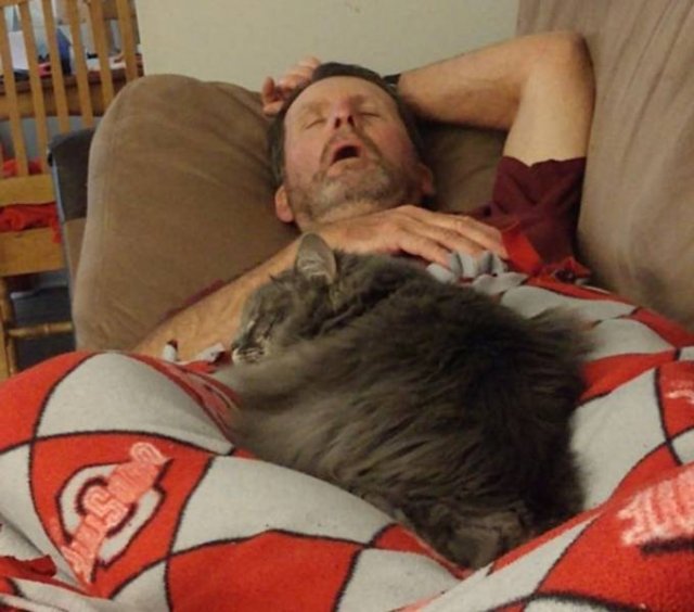 Pets-26