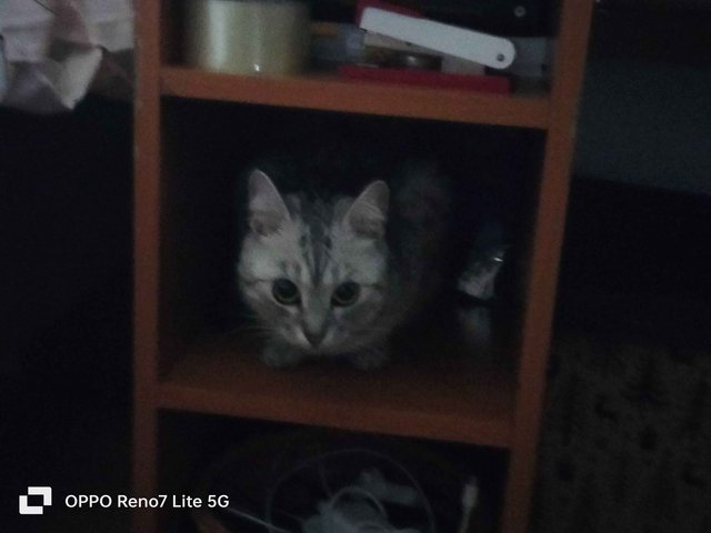 IMG20241119212739.jpg