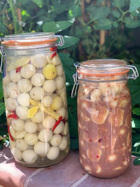 [Image: 1_DCE4675-_DDEC-4_EF9-98_F3-04_FF301_C0_B22.jpg]