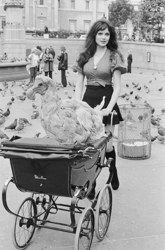 madeline_smith_b48