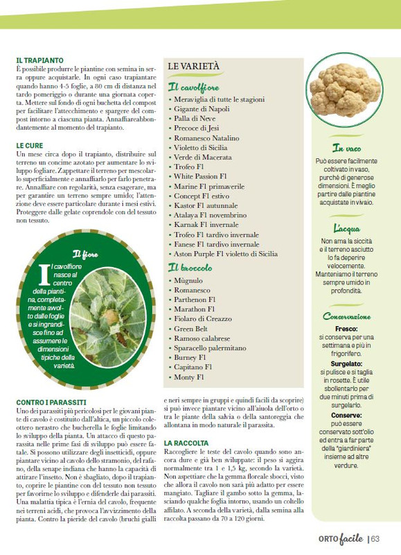 Orto Facile - Il Mio Orto Pratico - Feb-Mar 2025 (8)