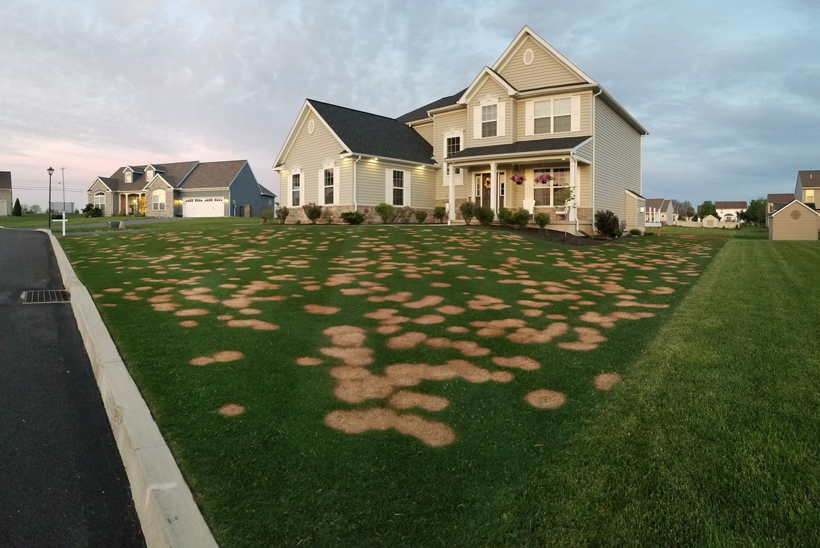 98603421_10158415390123988_6376790093864108032_o