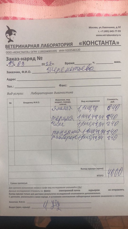 IMG-20220913-WA0001(1)