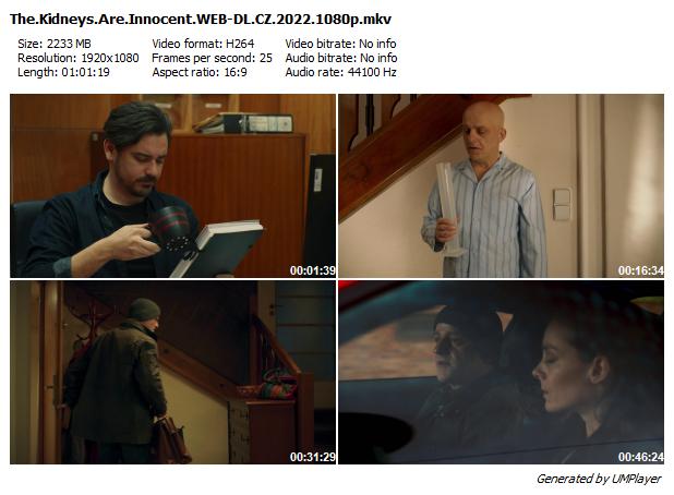 Ledviny bez viny (2022)