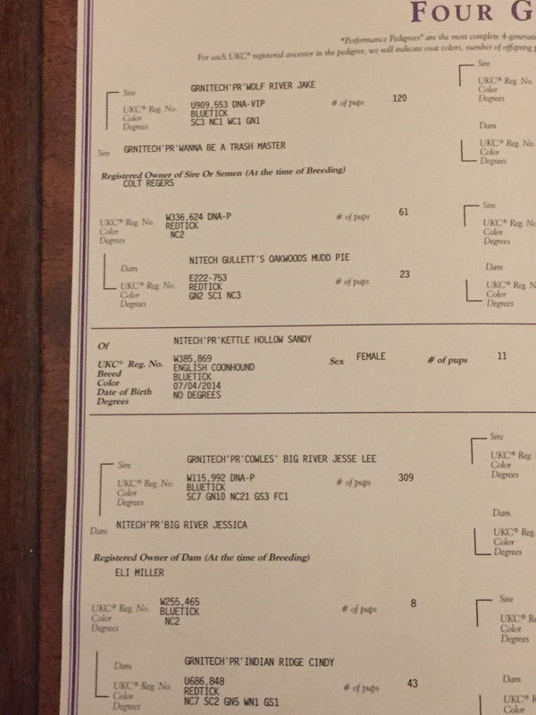 FE915D45-5D4D-4D29-91B6-C8E08BB01A5D