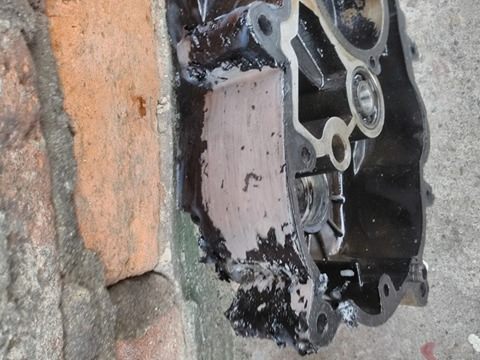 17160990_1563724356975023_1480384823_n