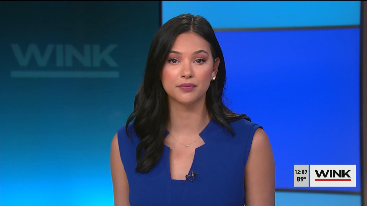 06.15 - 17.00.00 - The WINK Noon News. News..ts_snapshot_09.09_[2022.06.15_22.48.57]