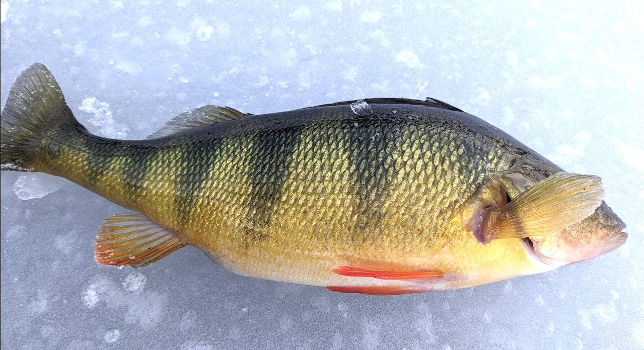 Screenshot 2025 12 07 at 6 09 37 PM