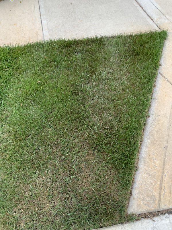 E63321C0-1E27-435E-90E3-A2BA3FC12933