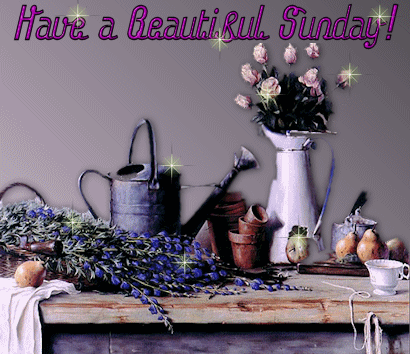 Sunday_Beautiful_Lavendar