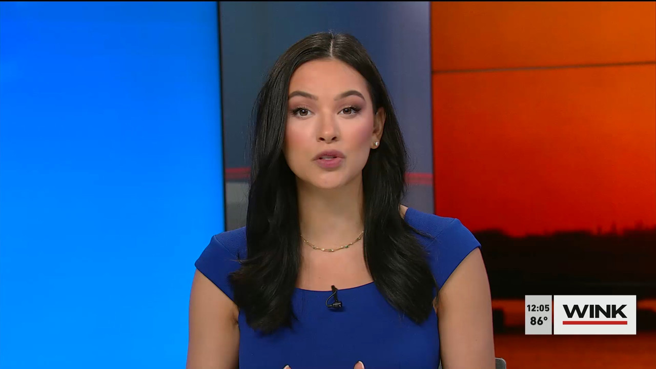 03.03 - 17.00.00 - The WINK Noon News  ᴺᵉʷ. Midday news update..ts_snapshot_11.40.991
