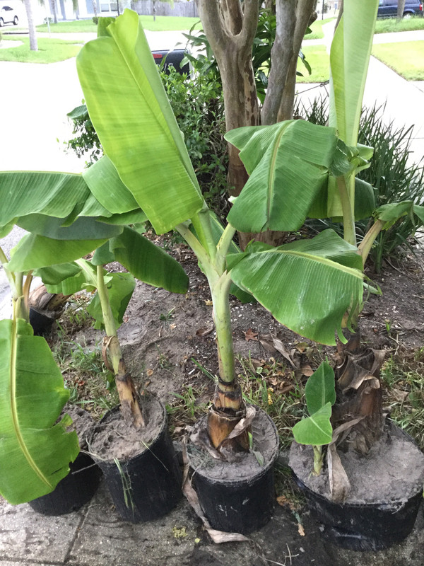 586FBAB6-225A-431A-9029-32BBED4AF55E