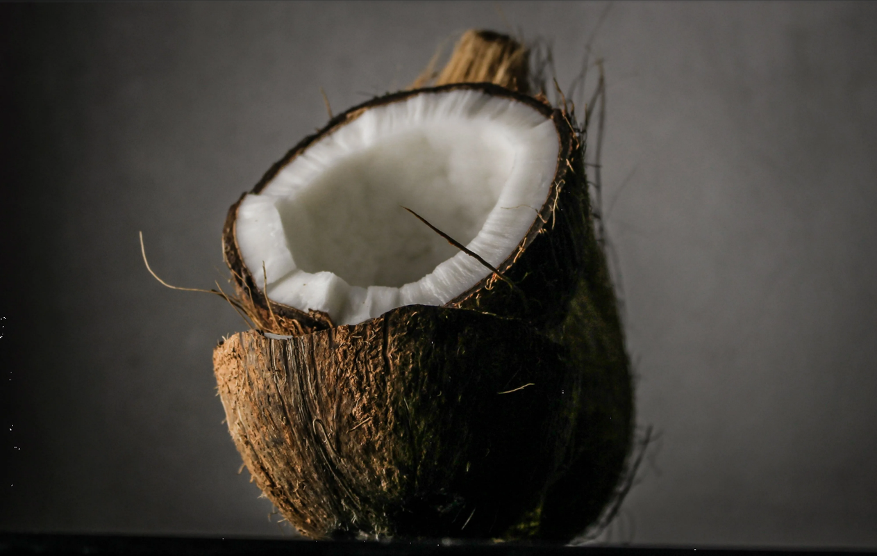 Abono de leche de coco para cuidar tus plantas