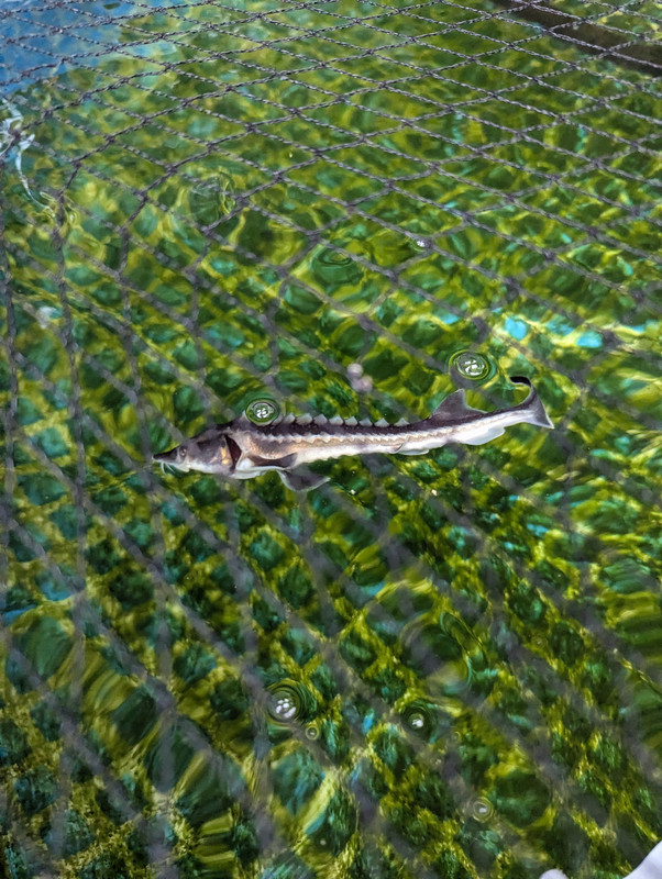 PXL_20240826_112030289