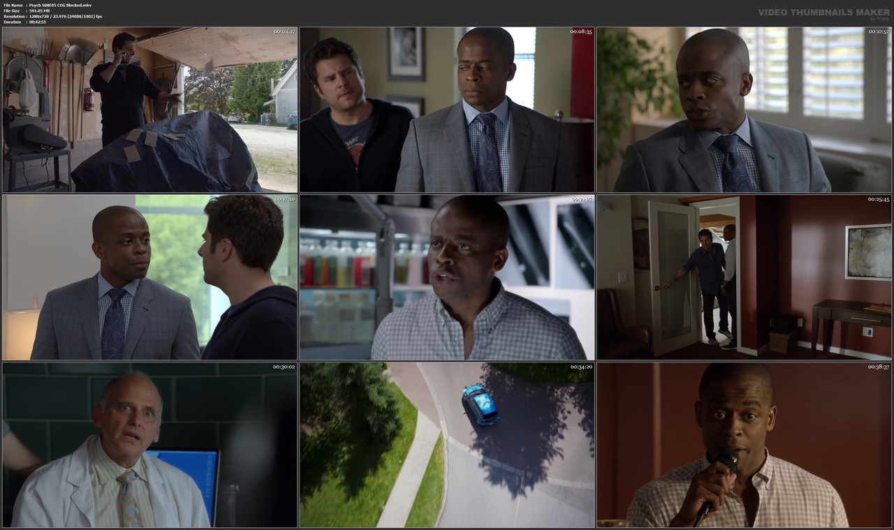 Psych S08E05 COG Blocked.mkv