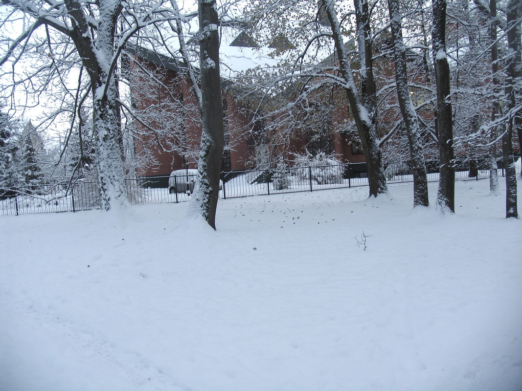 Ноябрь2023 078а