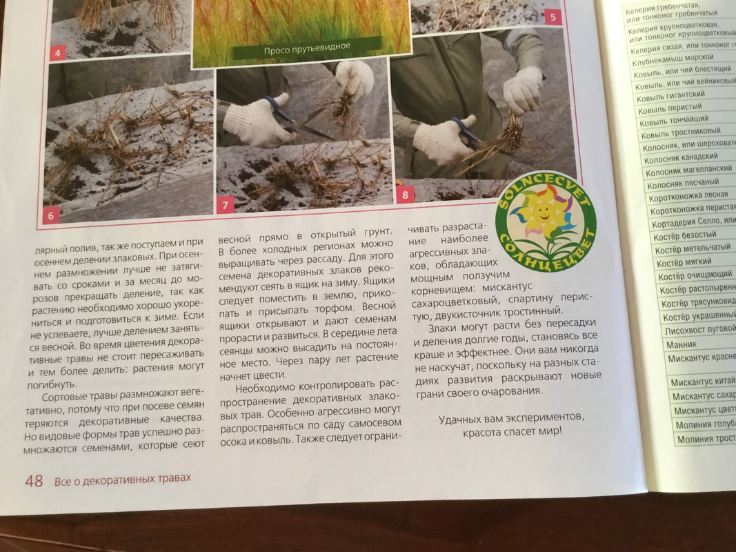 614FE05D-A09D-4797-86E4-7E82F79C1740