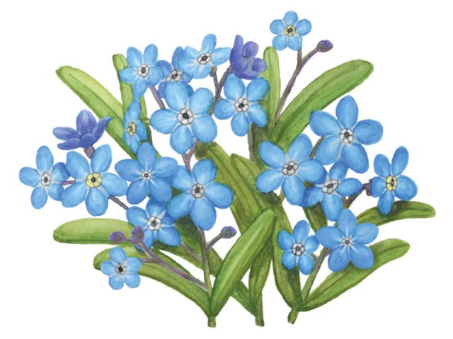 [Image: 3-FDF0-AB9-60-E9-4-A02-9-A5-E-2076-C469-DBE1.jpg]