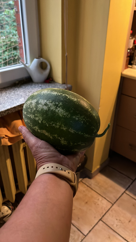 076B5B6B-F1ED-413E-AEBE-C1228C6F59F3