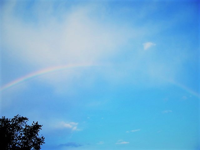 Rainbow8 (2)
