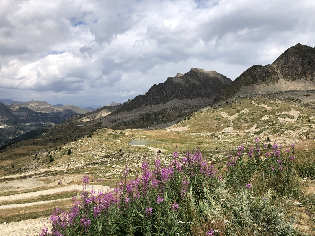 72D25A76-3BFC-4C8F-9E92-33EBAA706AD0