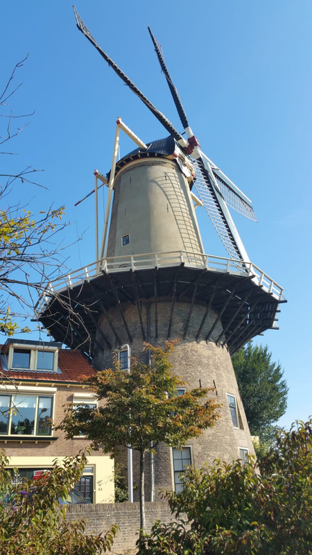 Pieter, De Roode Leeuw 03 Gouda 06-10-2018