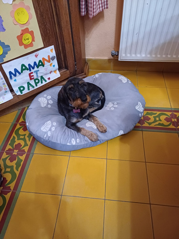 [Image: IMG-20240209-WA0007.jpg]