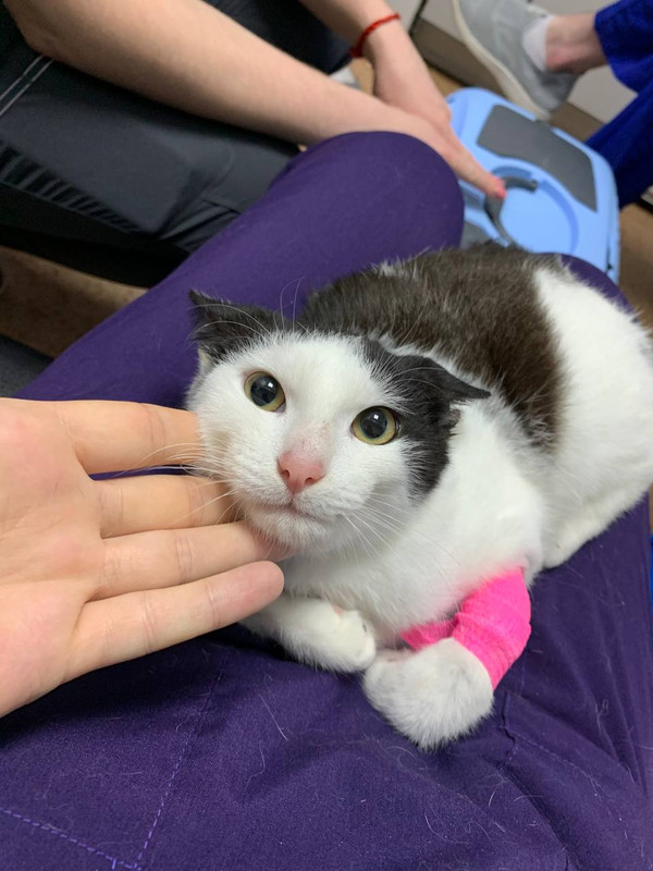 159073DB-0DFF-46EA-80B7-F67E291FC6AC