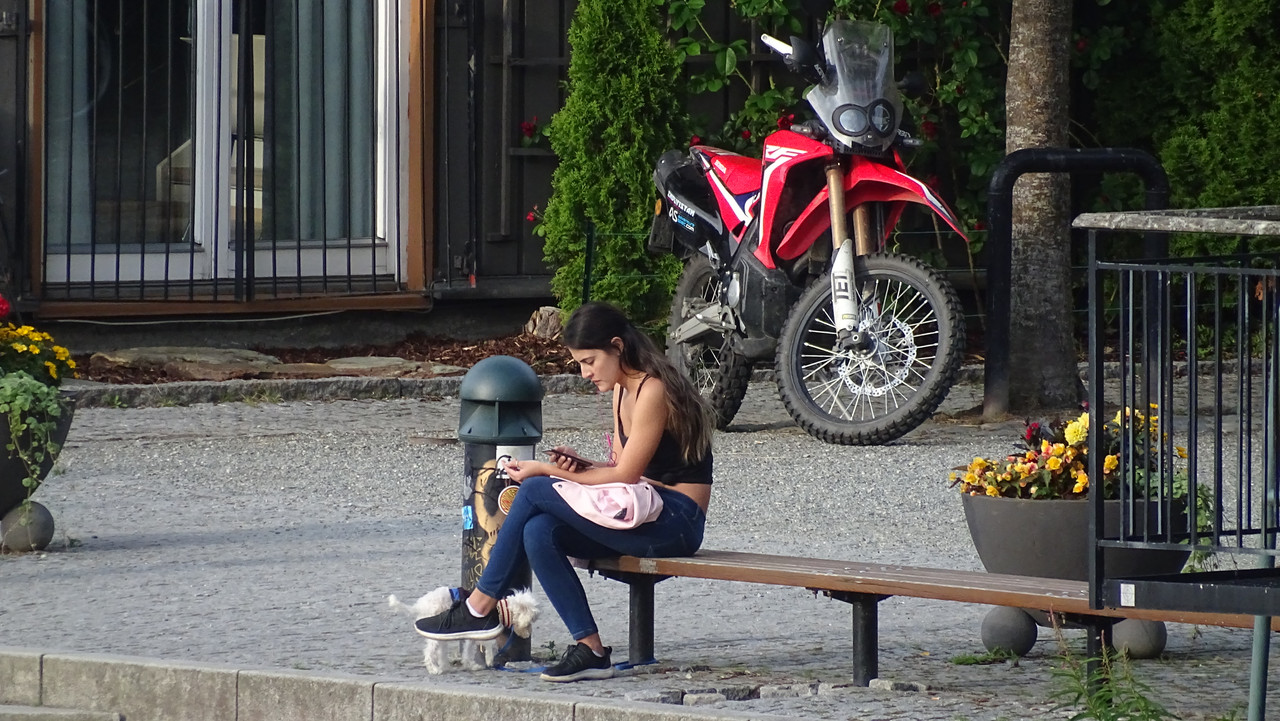 DSC01103.jpg