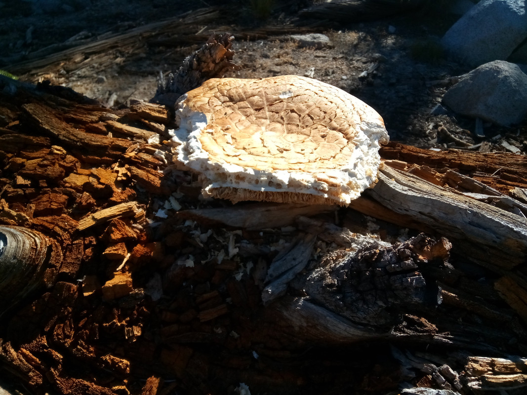 IMG-20190831-092312.jpg