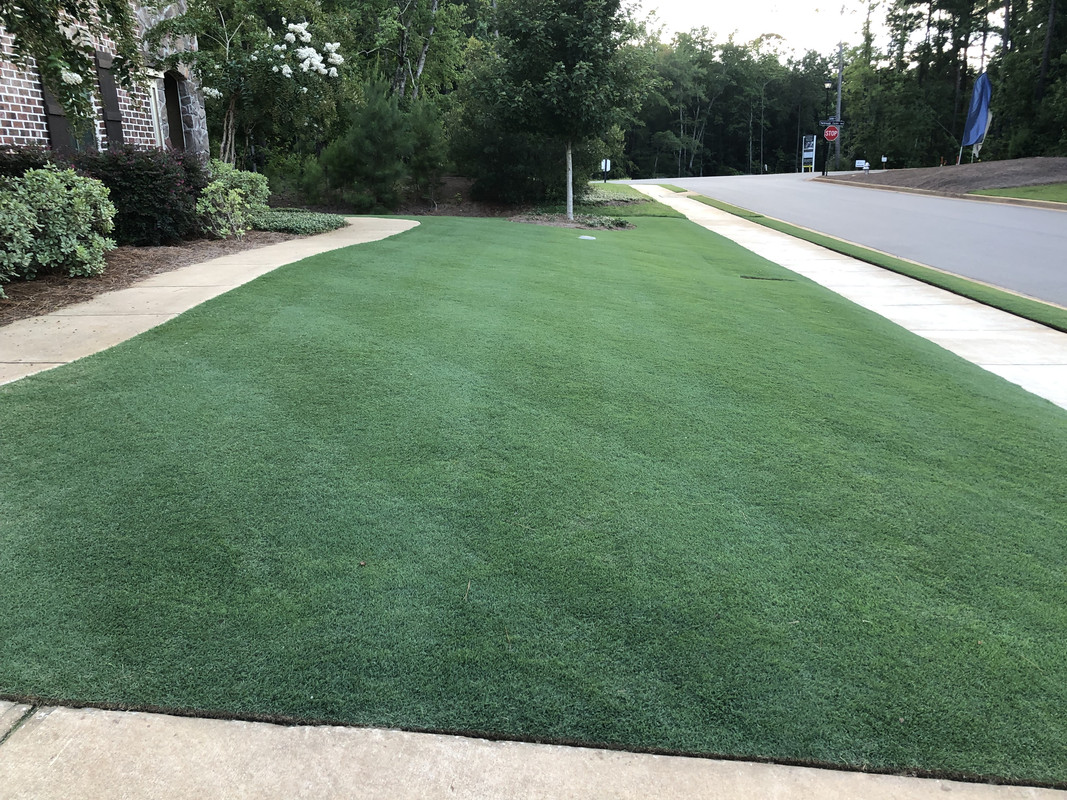 A06E5BA6-08EF-4B07-859E-DCEC5A48E21E