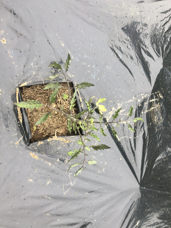 84C06473-9C72-46C4-8258-F91C4AFB1CB9