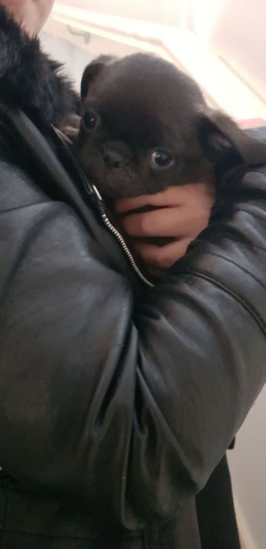 C8F04BC8-699B-45F7-9AF0-8A7B9C496EBF