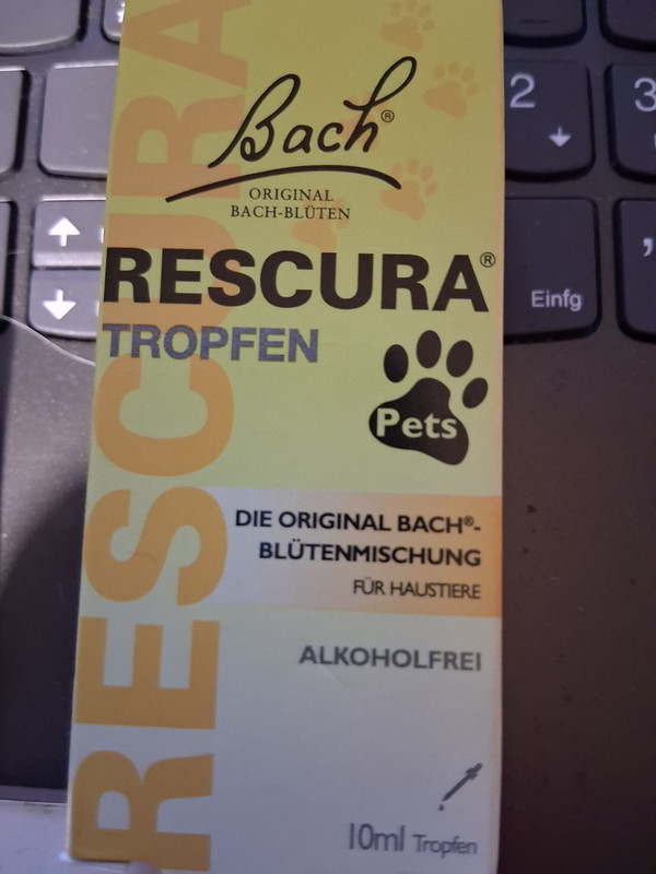 Bild