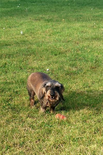 [Image: DSC-0041.jpg]